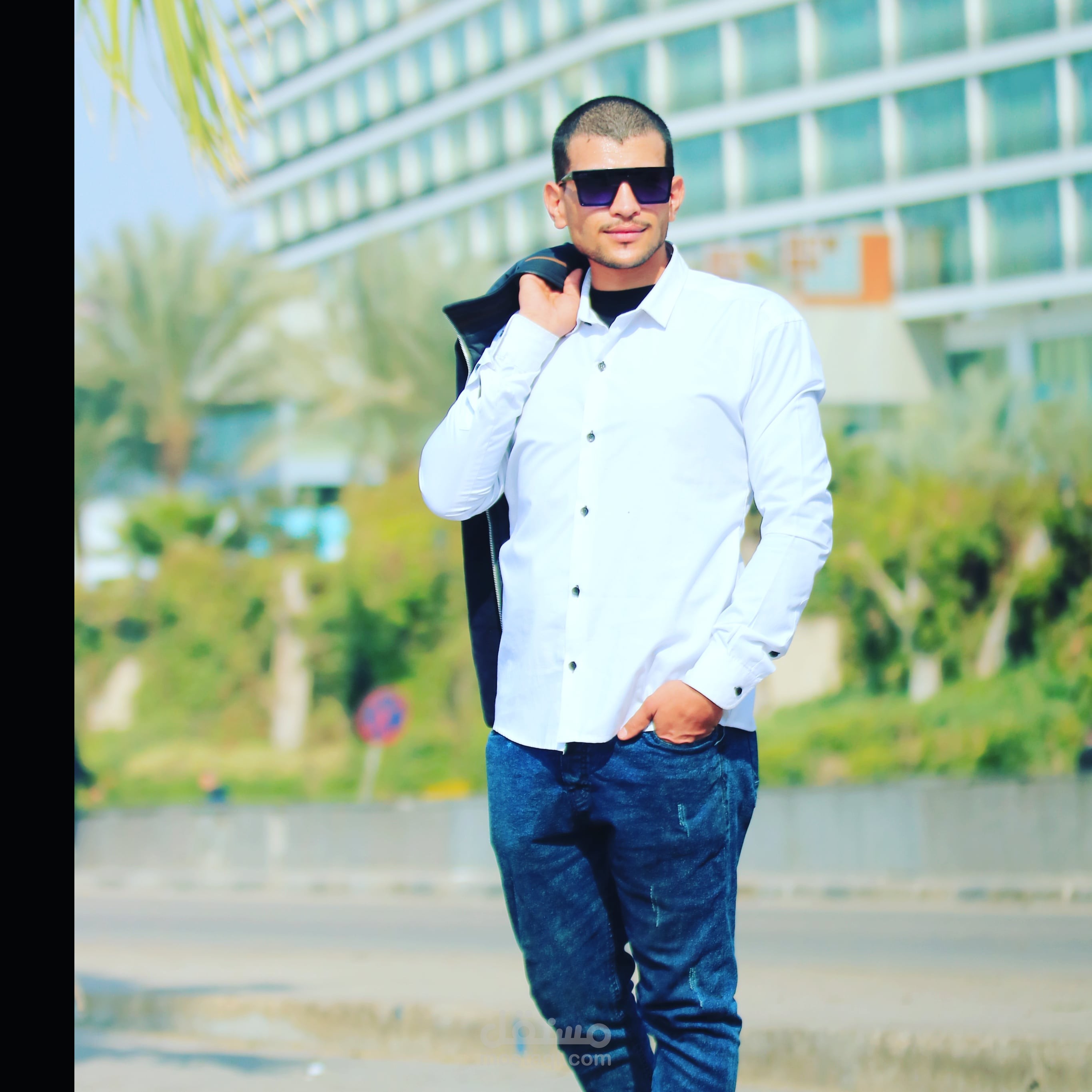 احمد الشامى