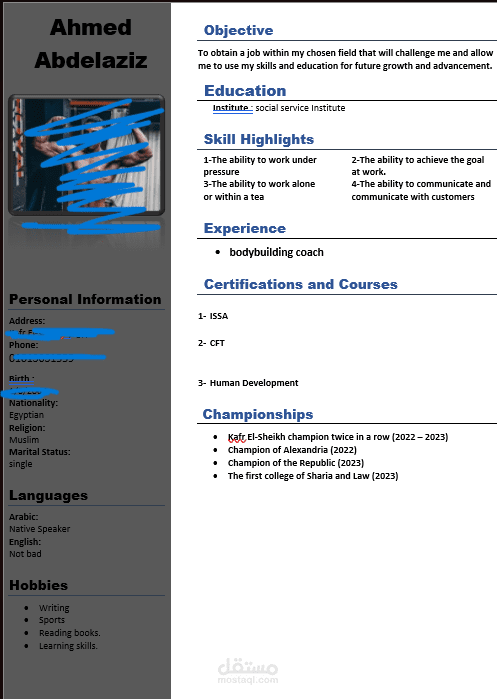 Professional Resume Maker