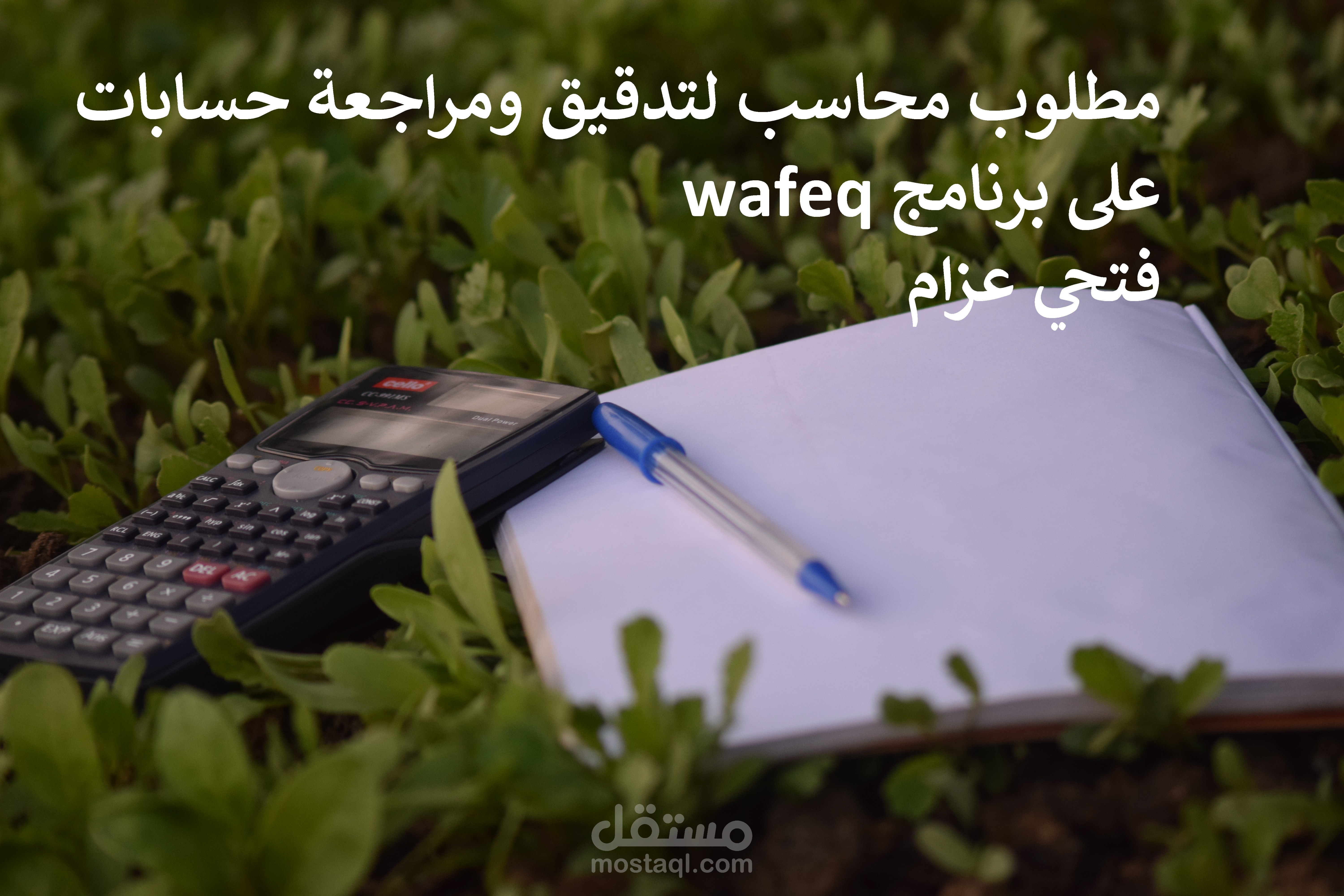 مطلوب محاسب لتدقيق ومراجعة حسابات على برنامج wafeq
