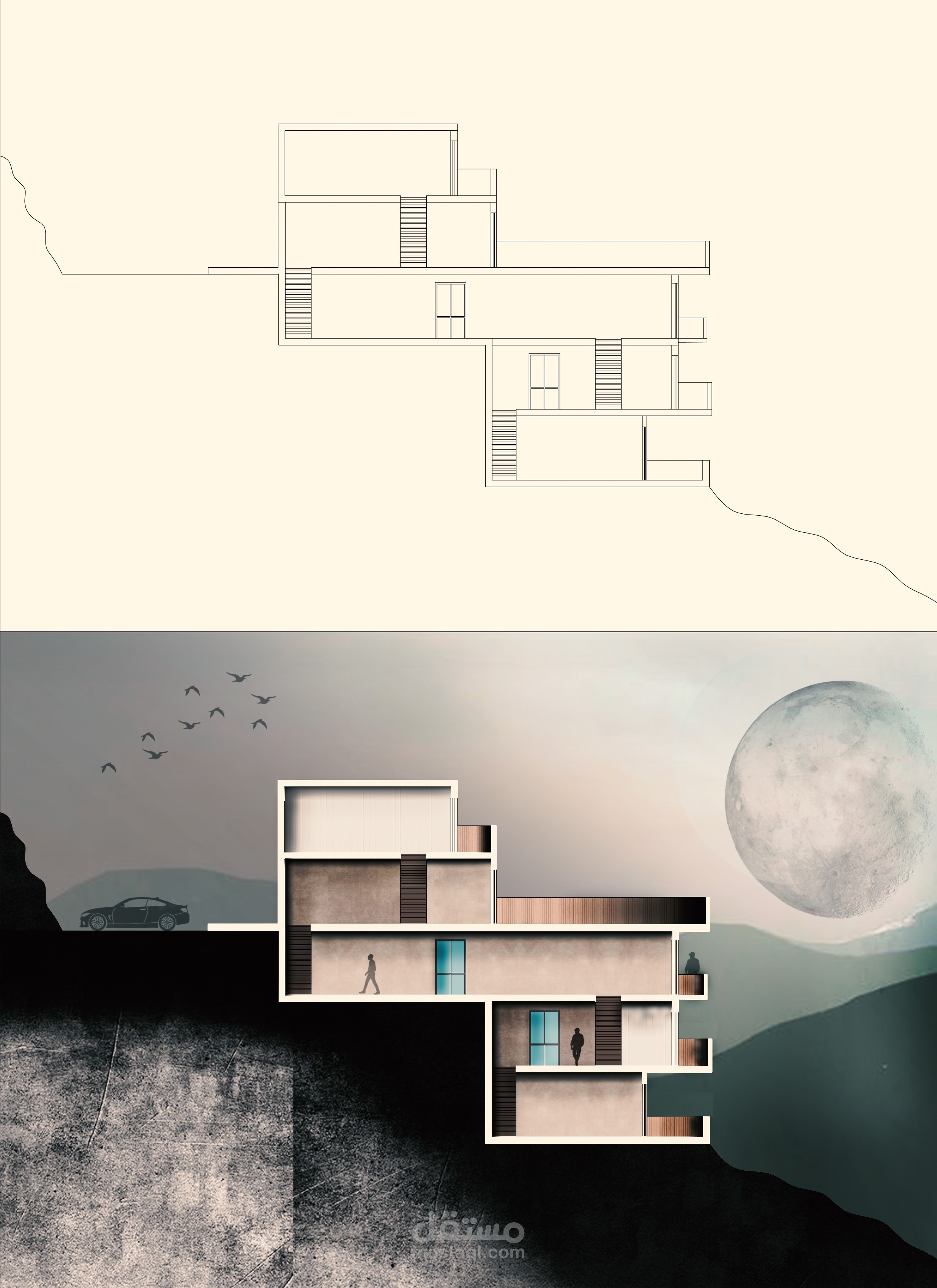 اظهار للبلانات