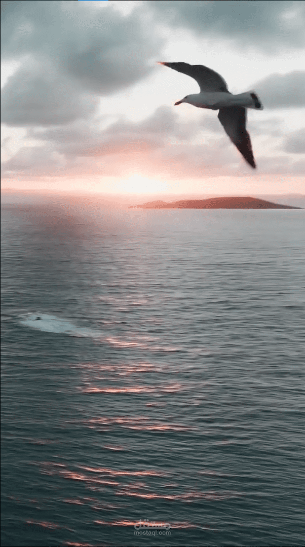 VERTICAL VIDEOS