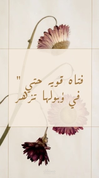 تصميم عبارات