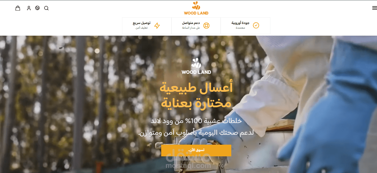 برمجة واجهة متجر إلكتروني متكاملة واحترافية على منصة زد