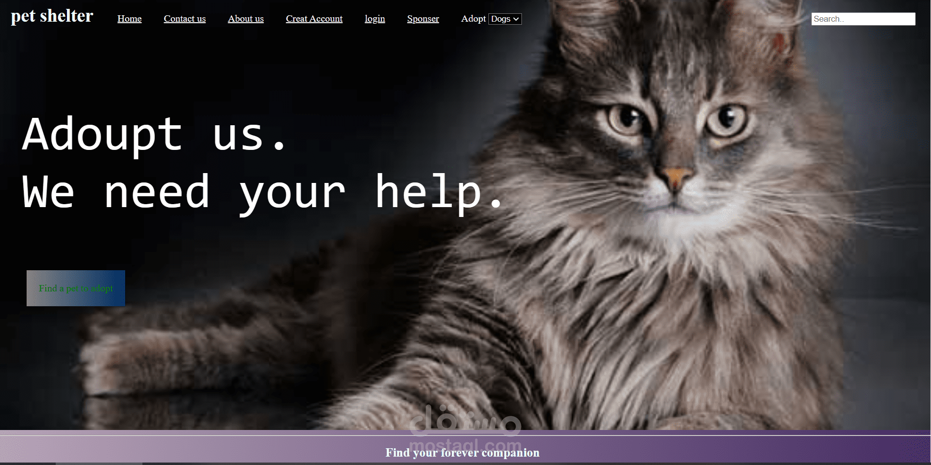 petshelter project using only HTML and css