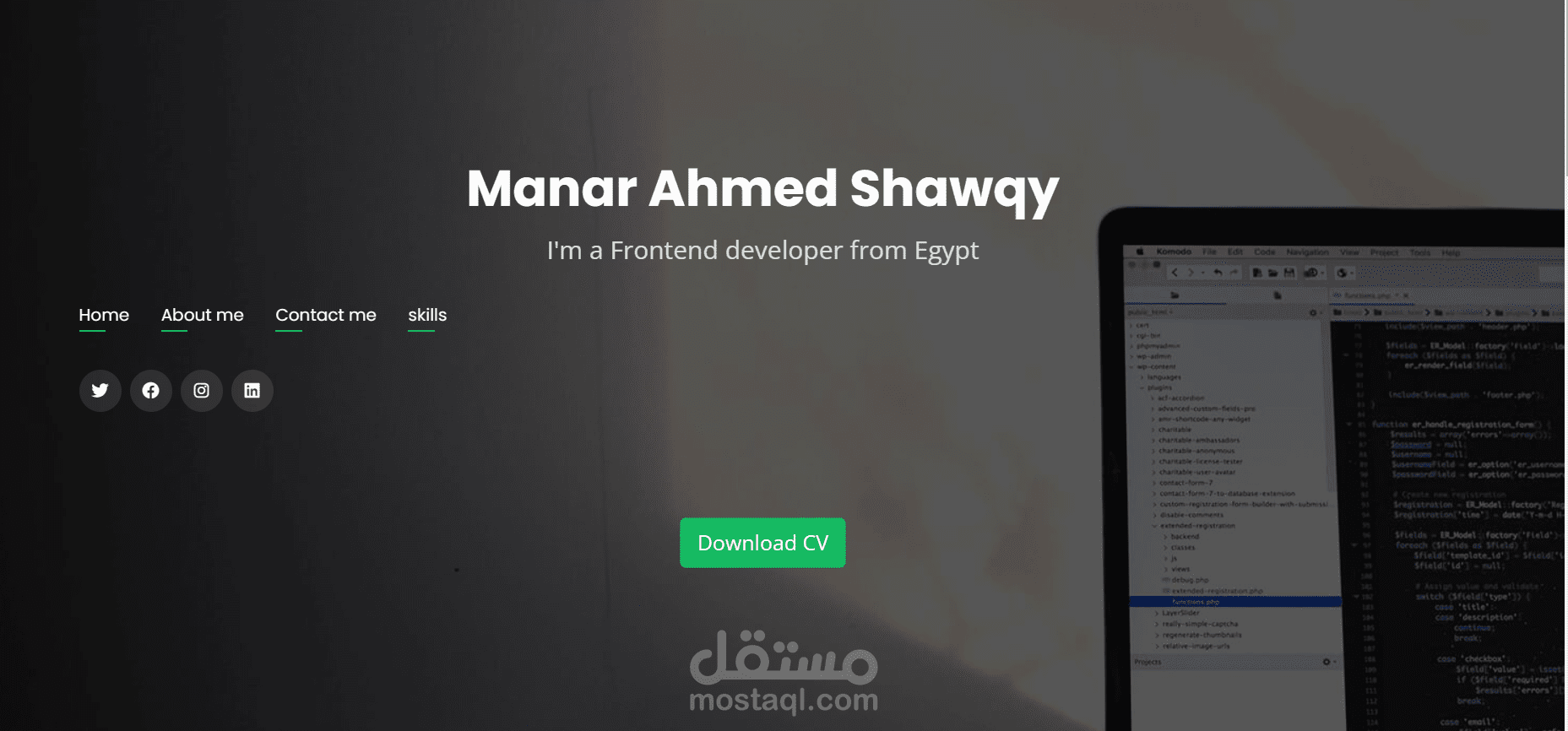 portifolio using React