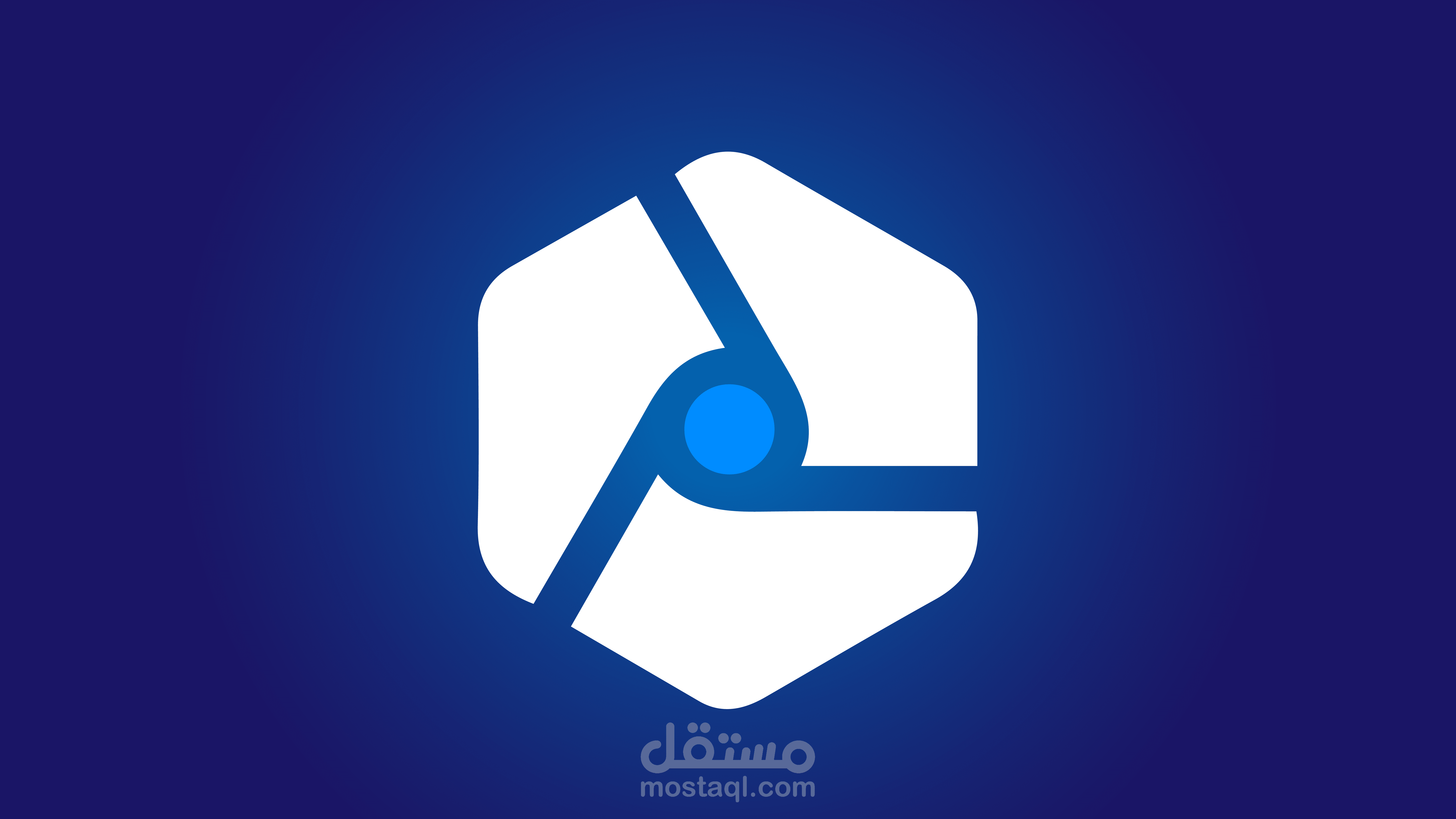 مقدمة شركتي الخاصة VisumStudios