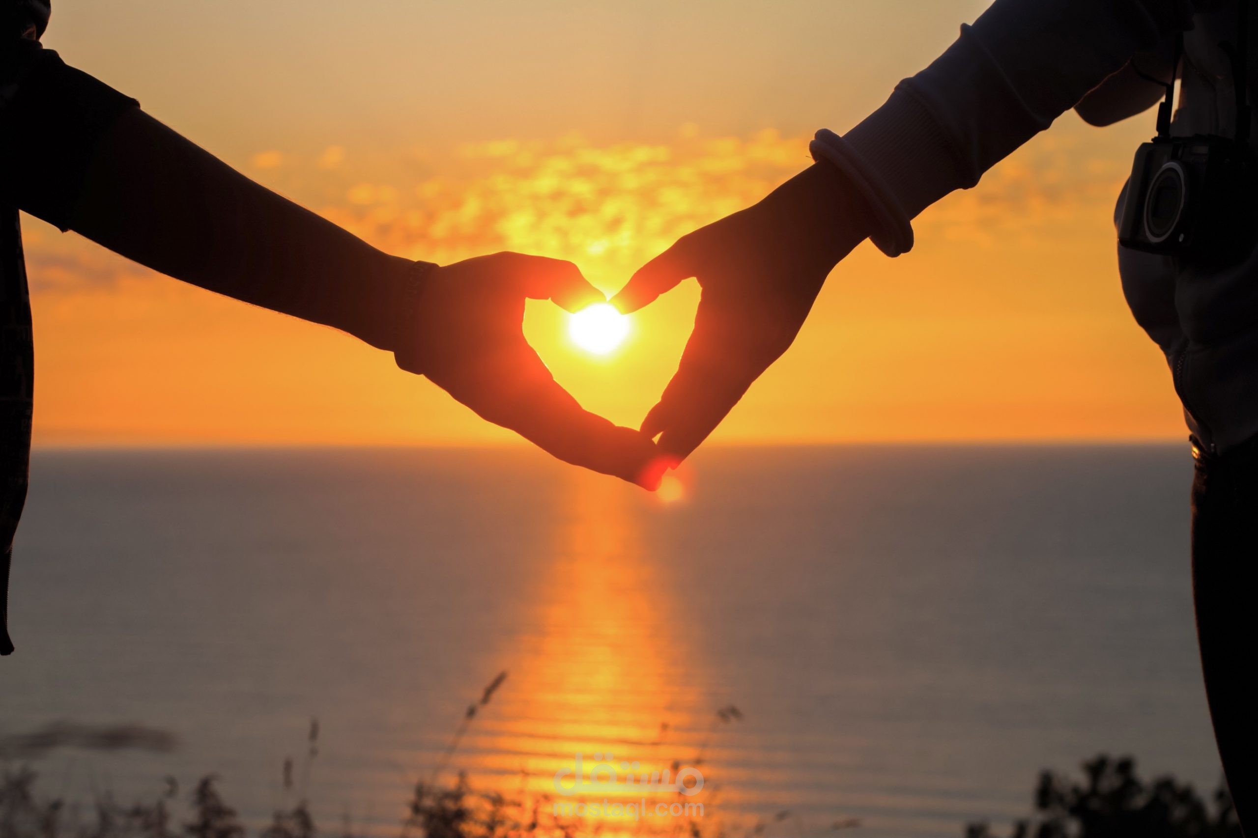 إلقاء وتعليق صوتي لقصيدة شعرية