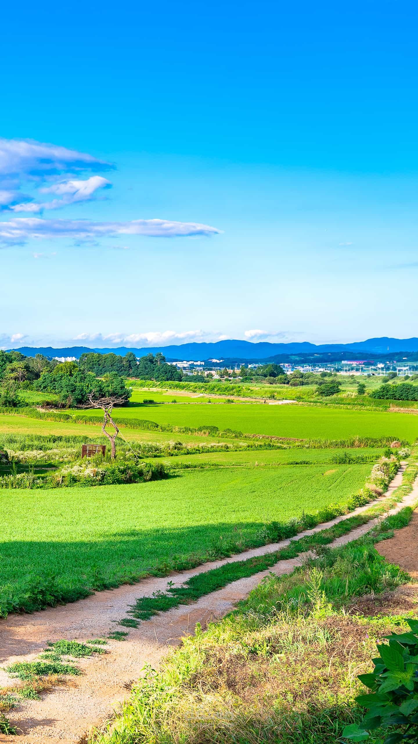 تعليق صوتي على فيديو لقناتي على يوتيوب