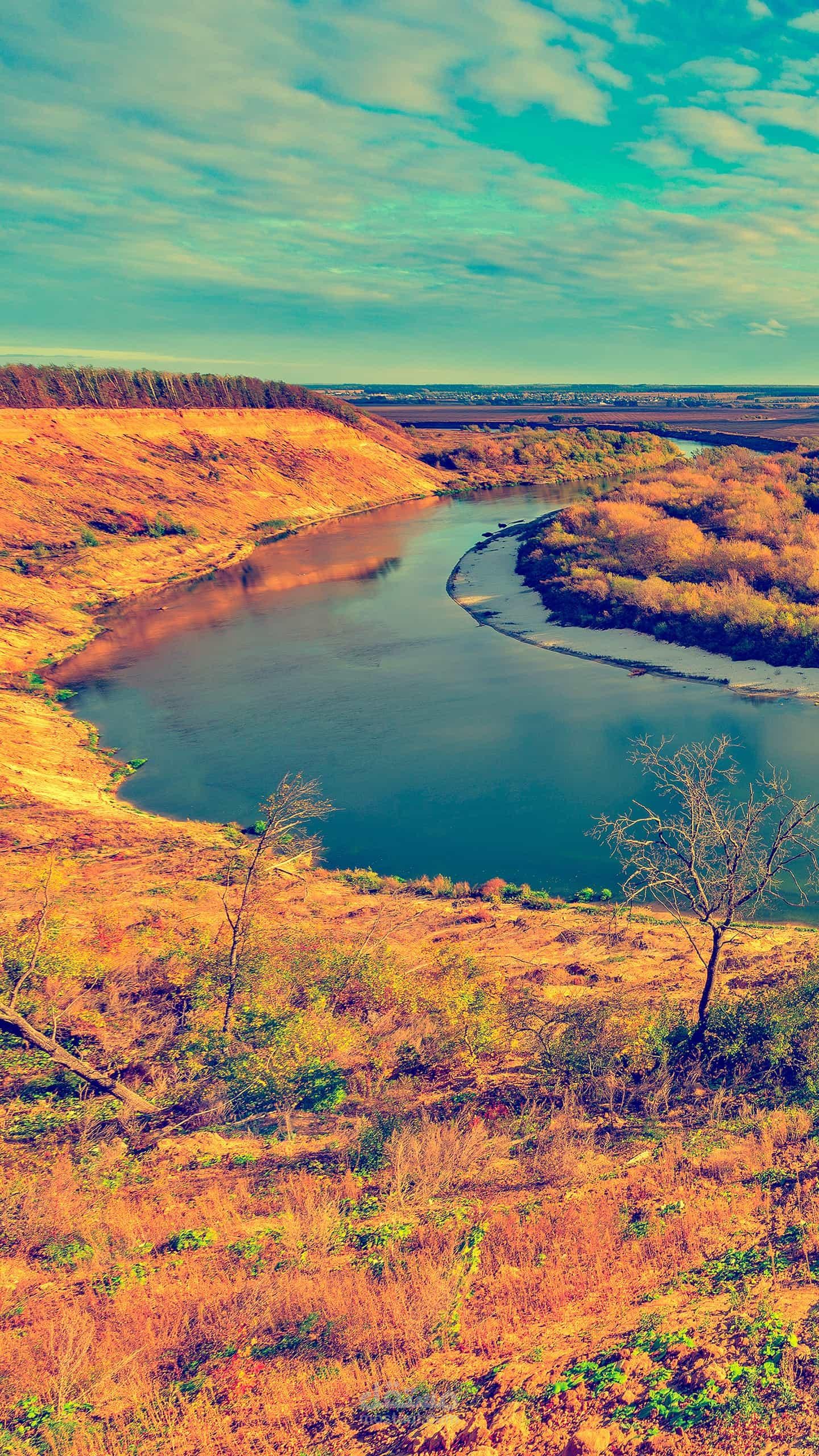 ترجمة بحث علمي من العربية إلى الانجليزيه