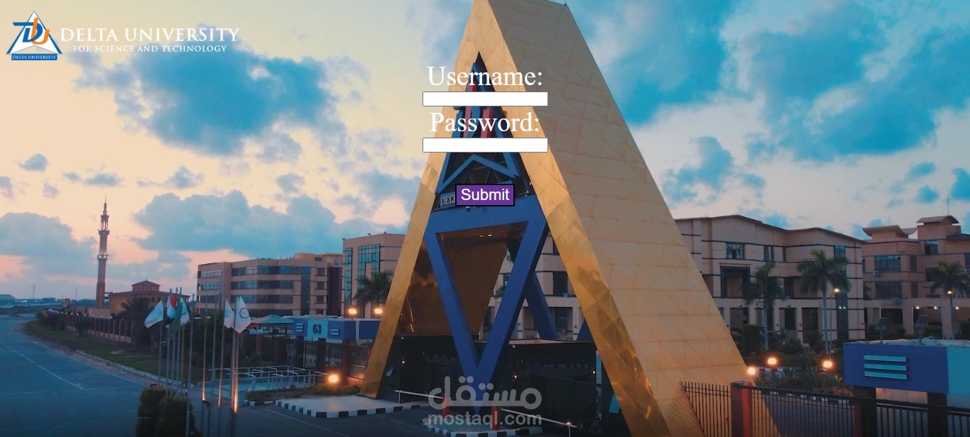 موقع ذو واجهة احترافية بروفشنال