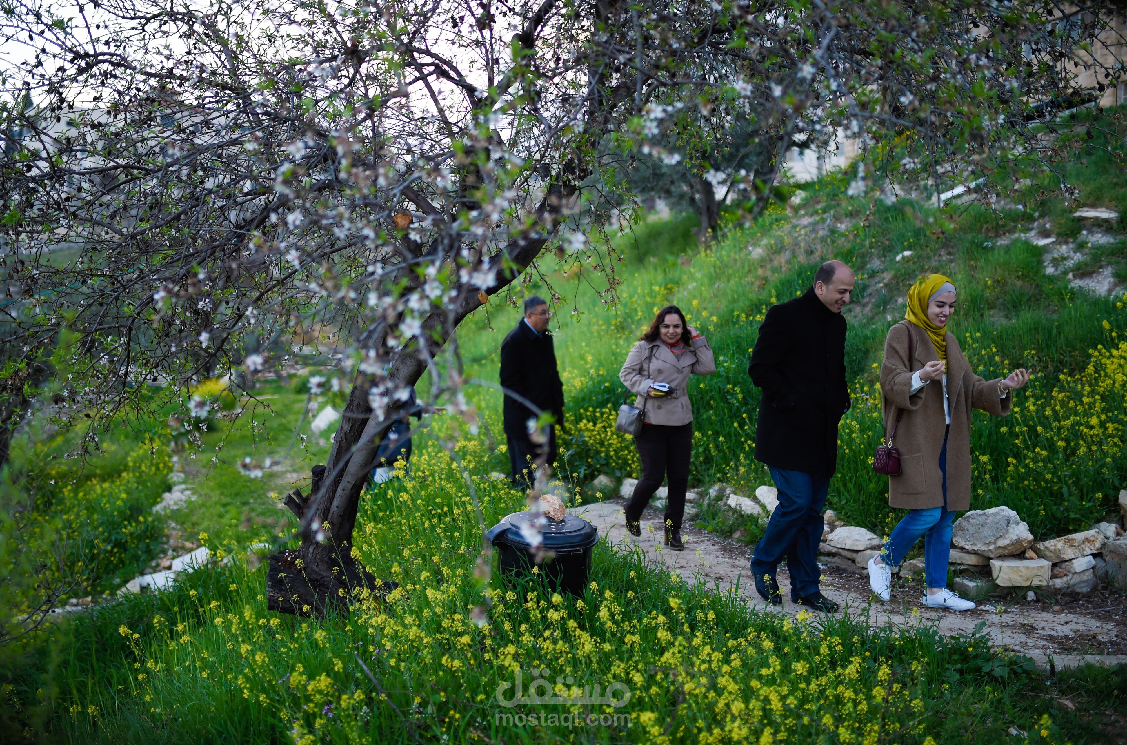 The Environment and Development in Palestine