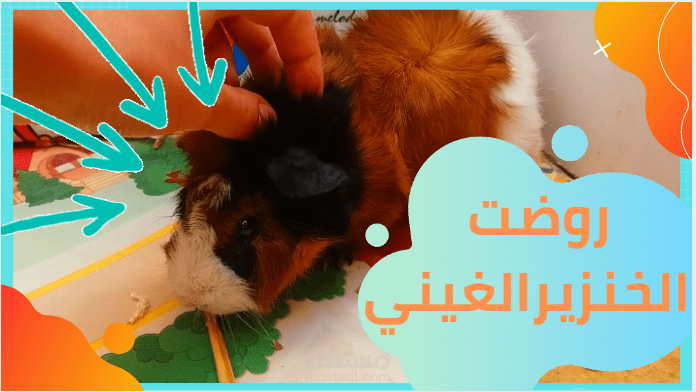 صورة مصغرة لفيديو على اليوتيوب