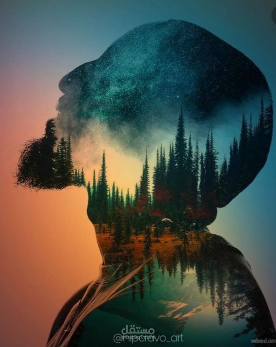 تصميم المواقع و تطويرها