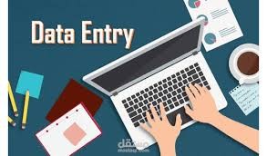 ادخال الابيانات بدقة وجودة عالية