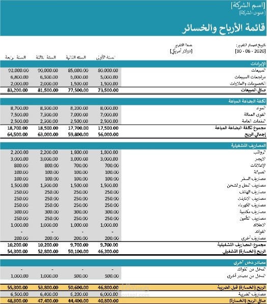 اعداد تقارير مالية بشكل دقيق ومفصل واحترافي