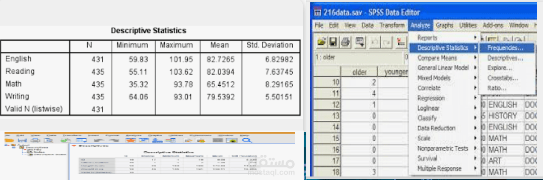 تحليل بيانات عبر برنامج SPSS