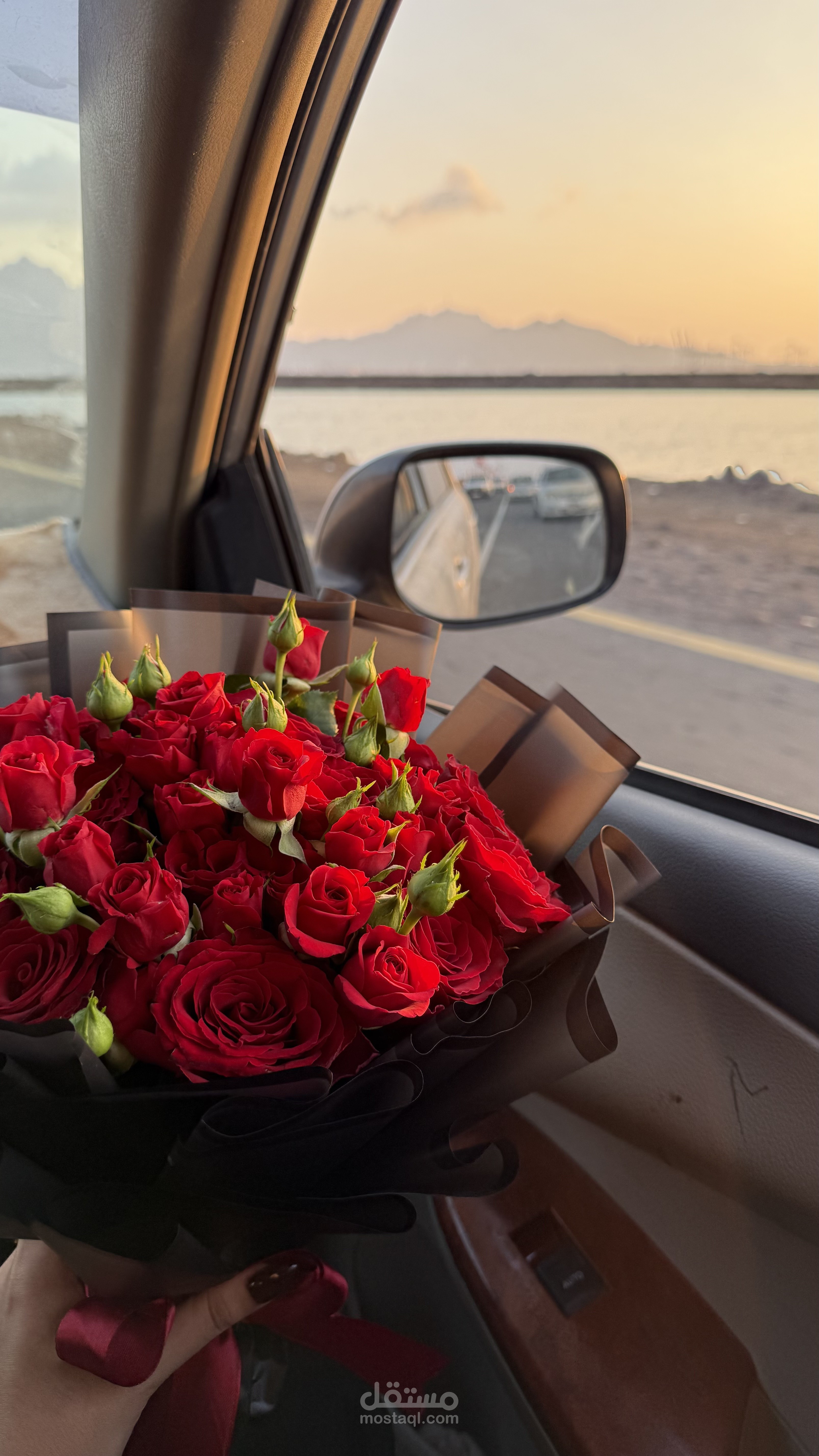 ادارة حسابات انستا وخريجة تقنية معلومات ودبلوم جرافكس