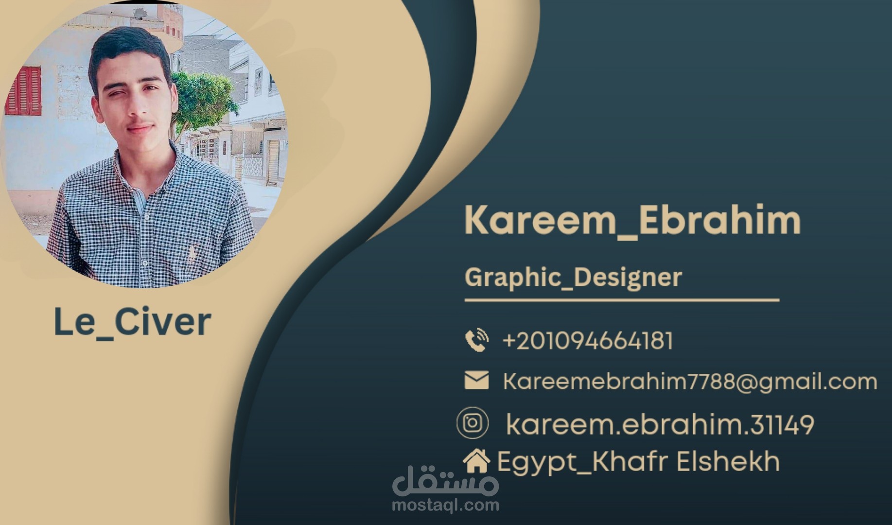 Professional Business Card