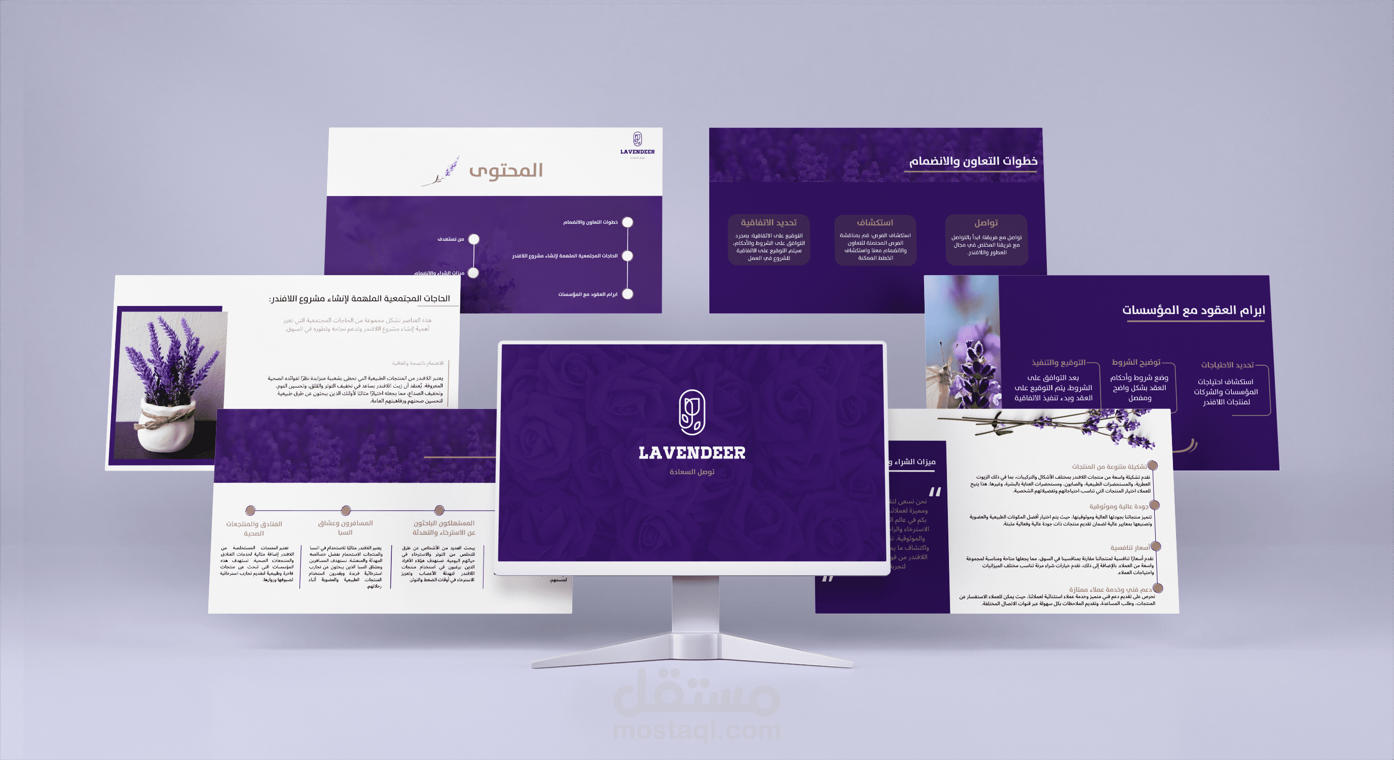 لافندر - presentation