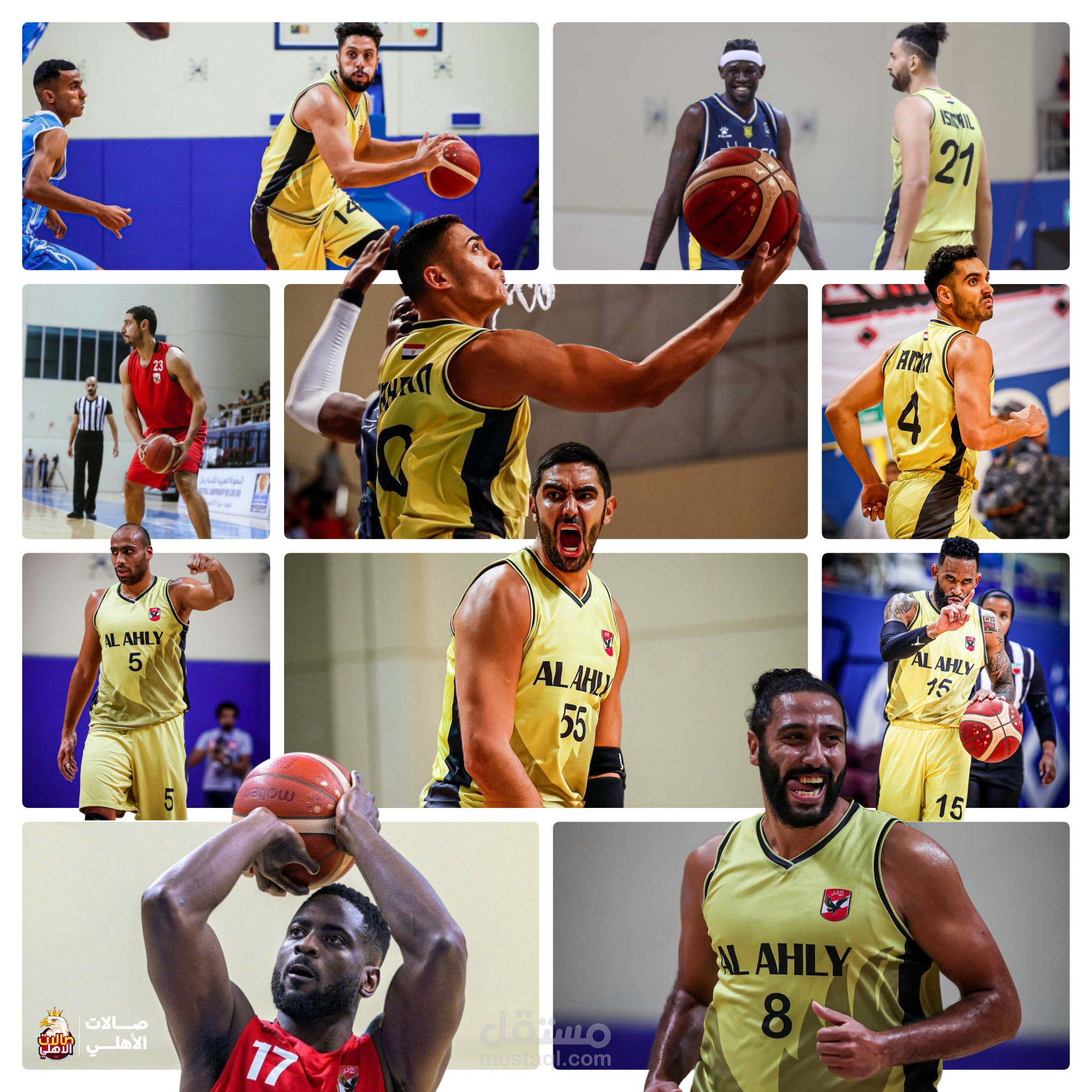لاعبي كرة السلة بالاهلي