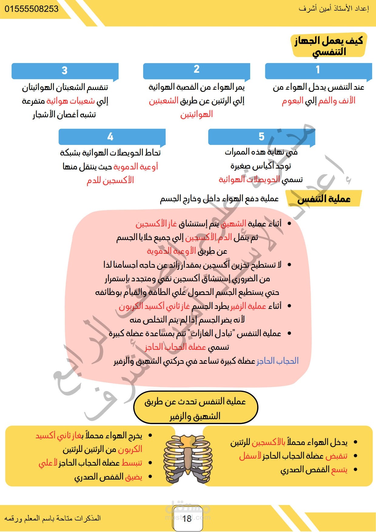 كتابة وتنسيق عبر الورد والتصميم عبر ادوبي انديزاين