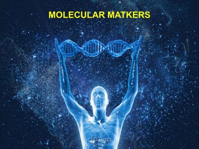 Molecular marker techniques