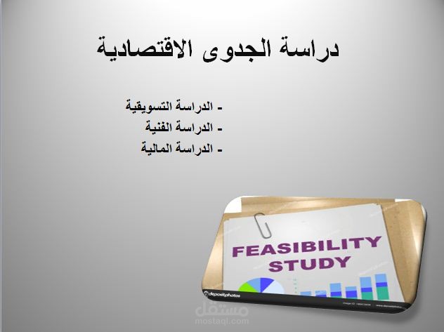 دراسات الجدوى الاقتصادية