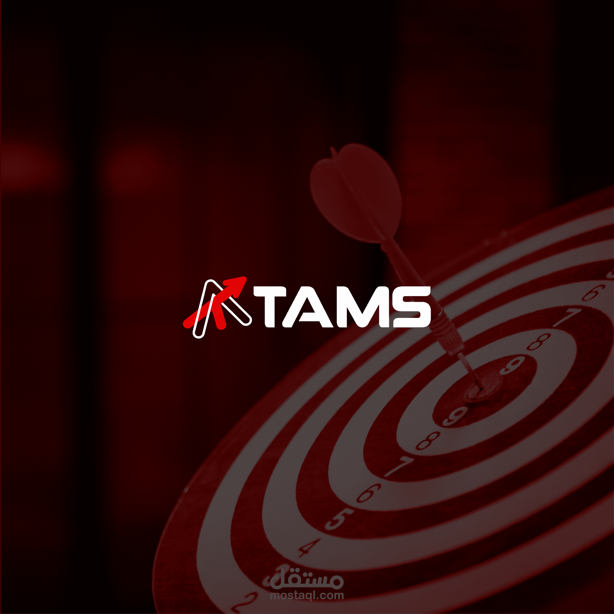 Tams - Logo & Brand identity