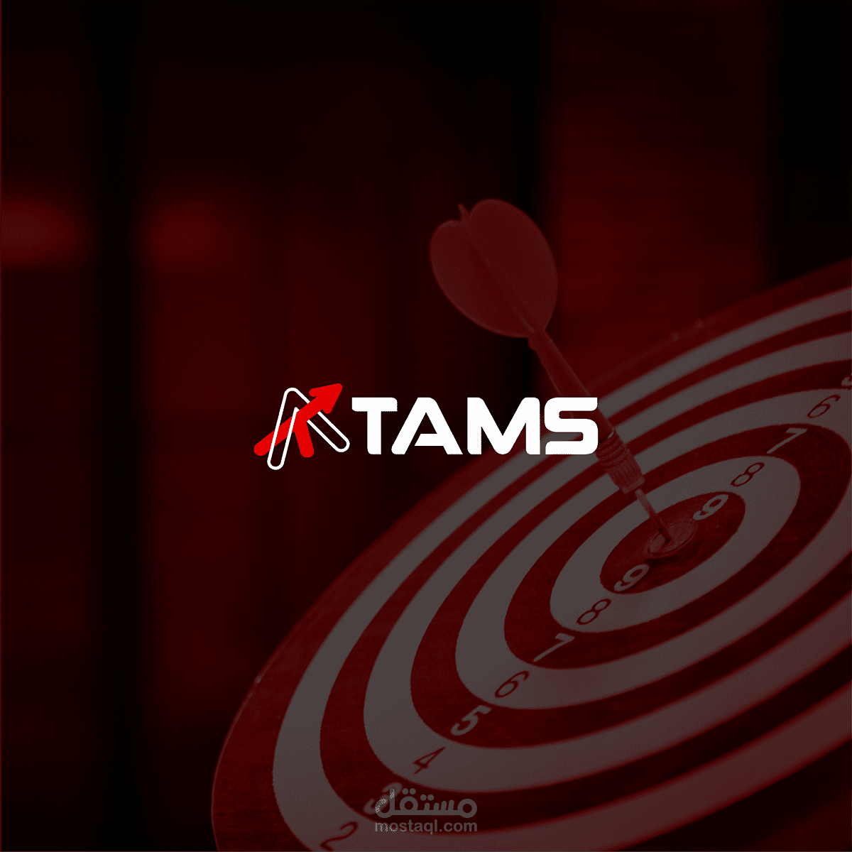 Tams - Logo Brand identity