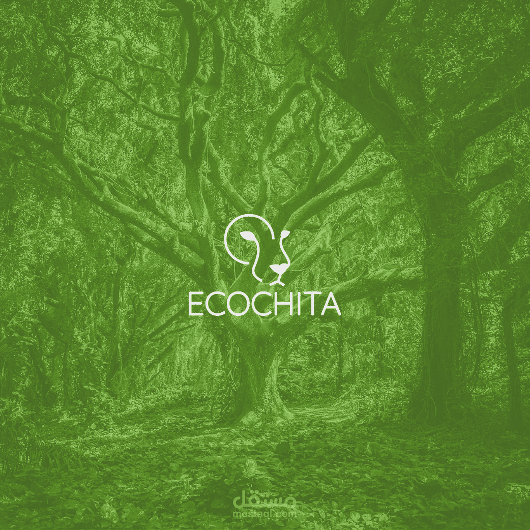 Ecochita - Logo Brand identity
