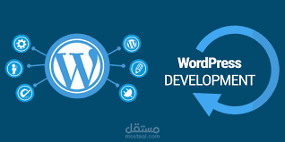 Wordpress developer