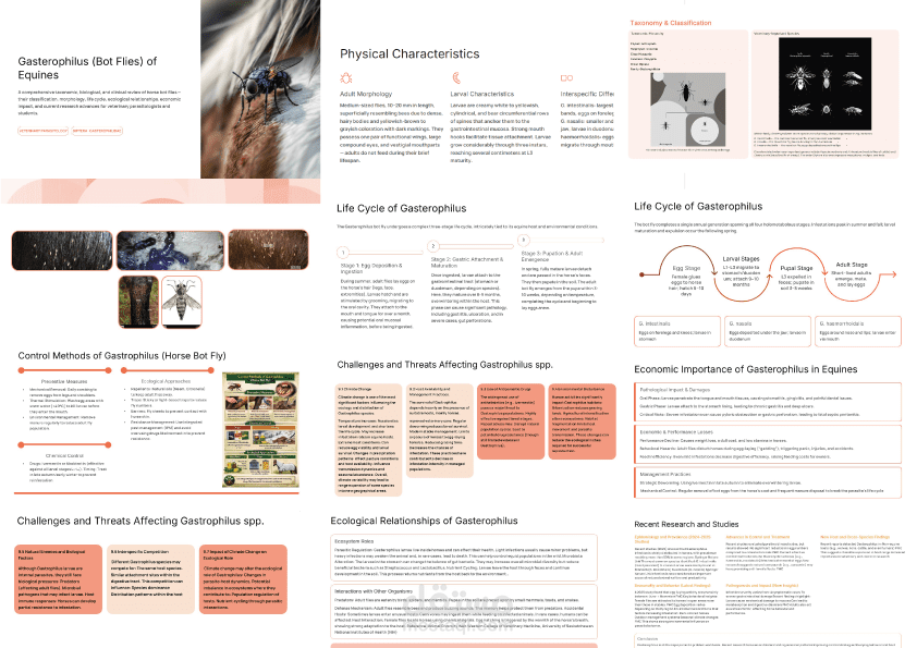 تصميم عروض بوربوينت و بروفايل شركة احترافي