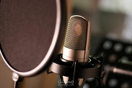 PROFESSIONAL VOICE OVER