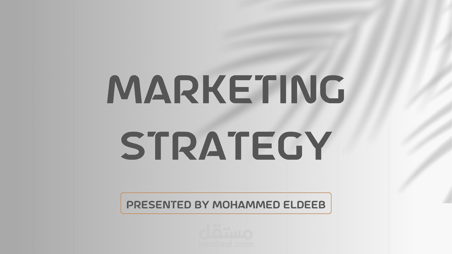 خطة تسويقية  لمكتبة النور