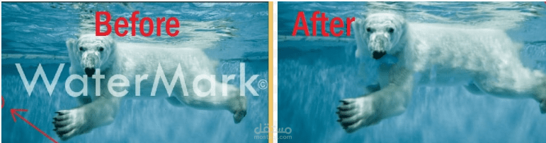 Watermark Remover