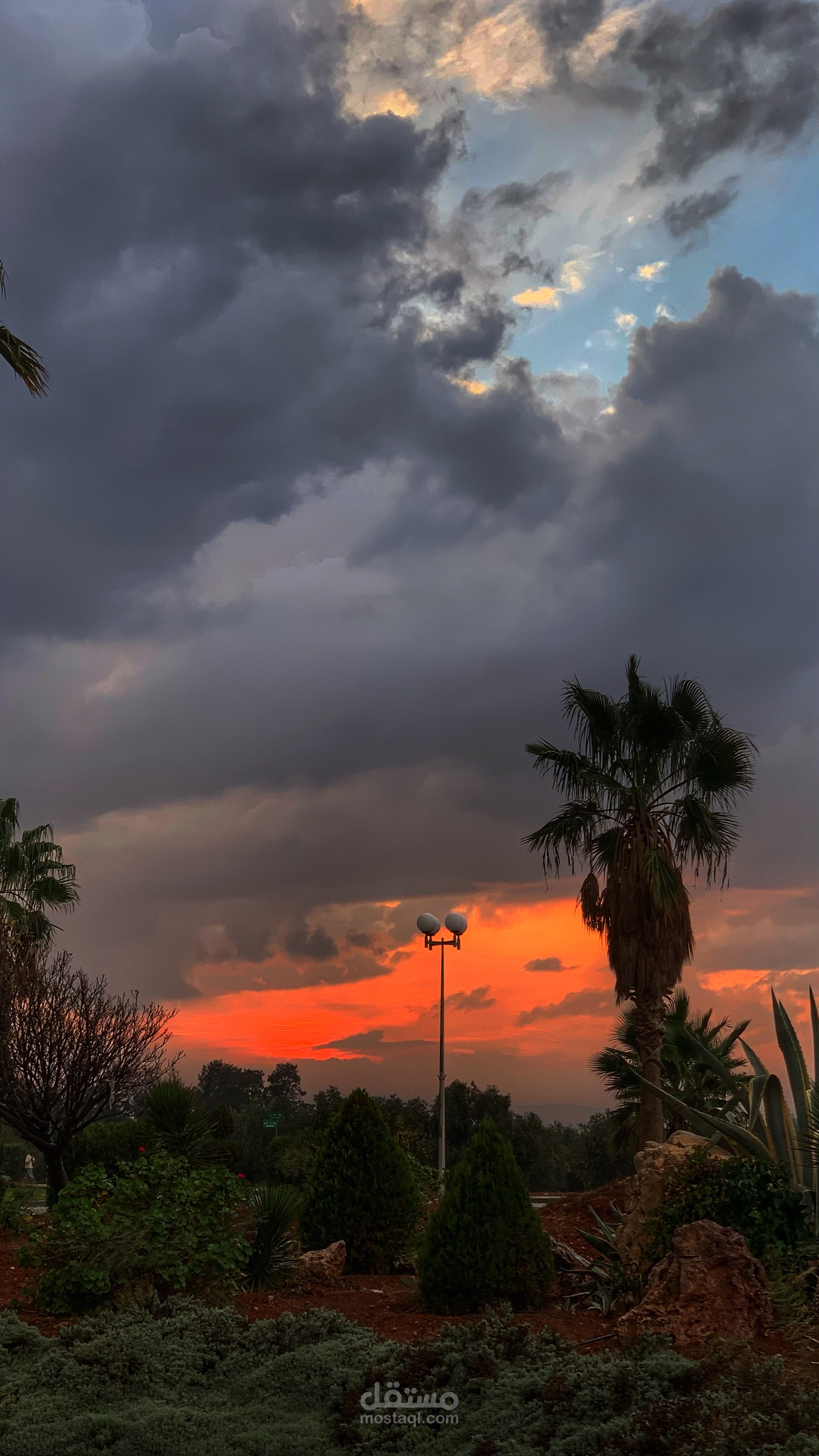 تعديل الفيديو