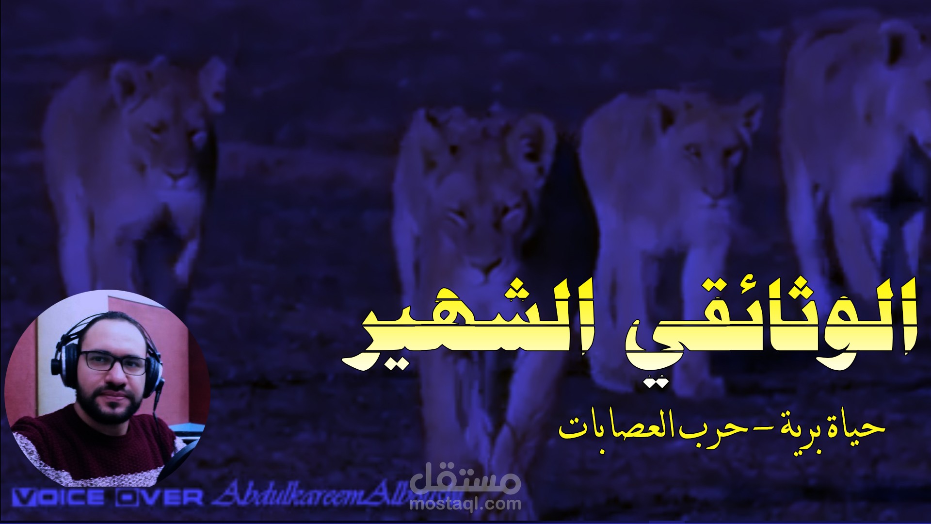 نموذج تعليق صوتي وثائقي | حياة برية | عبد الكريم البوشي