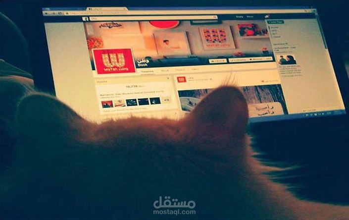 تصاميم سوشيال ميديا فيس بوك و تويتر