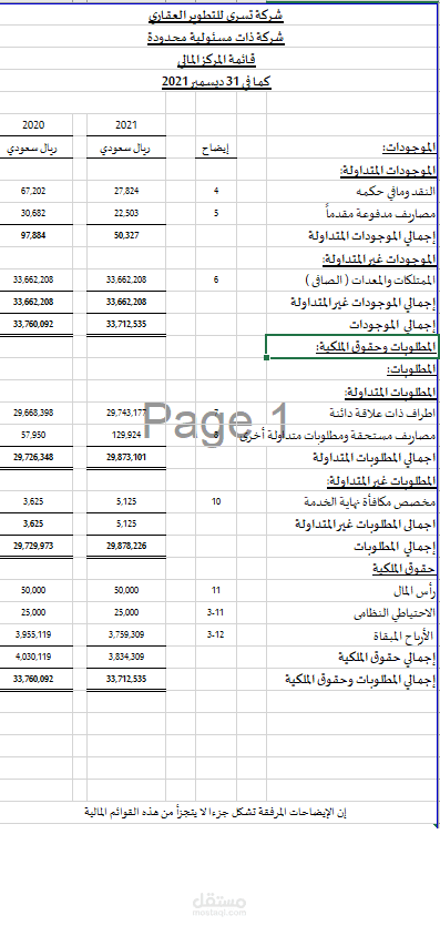 ميزانية شركة تسرى