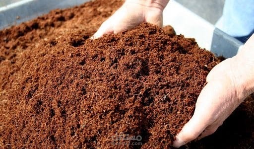 كتابه محاضره على وورد