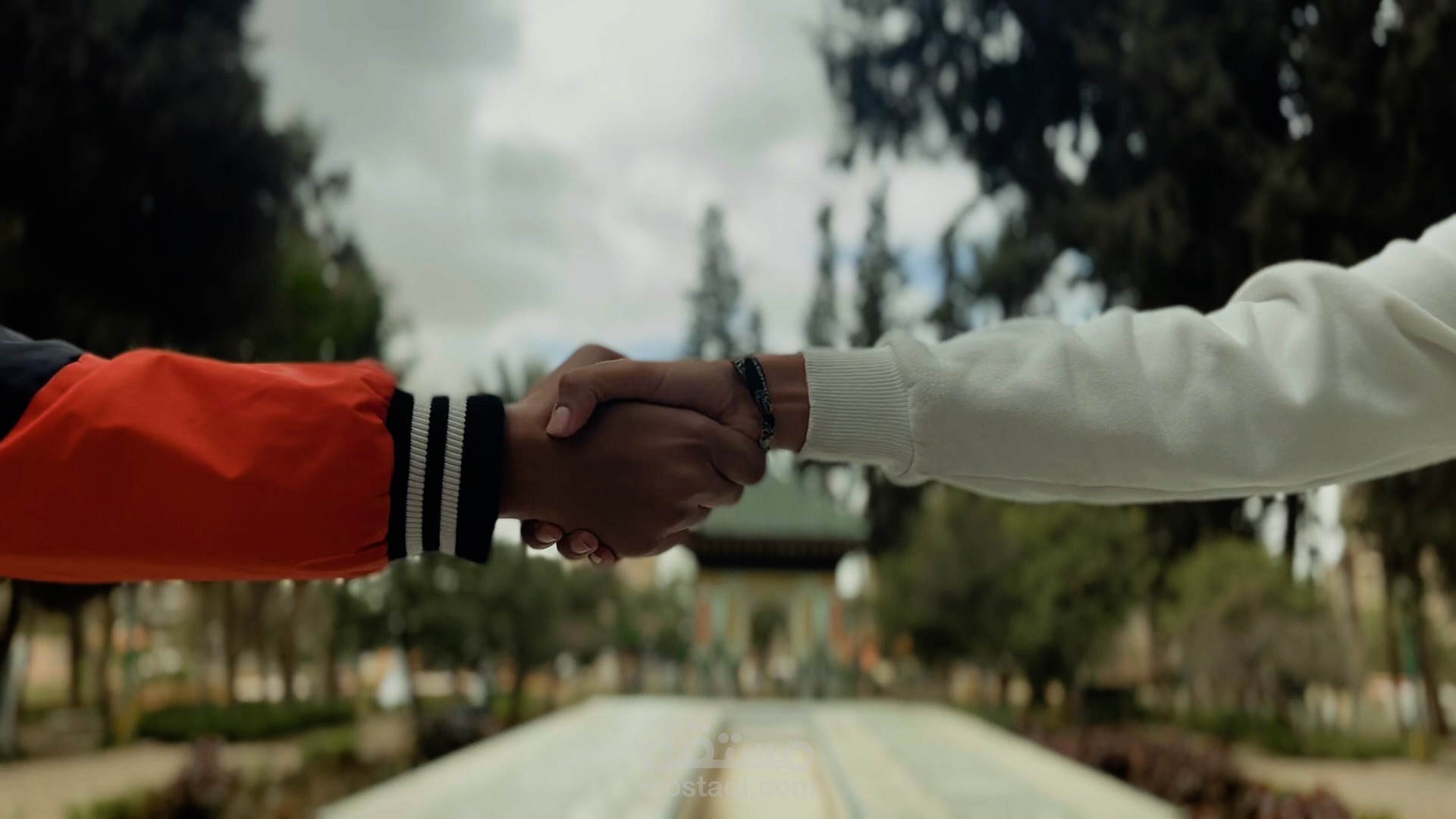 خطوات الصداقة