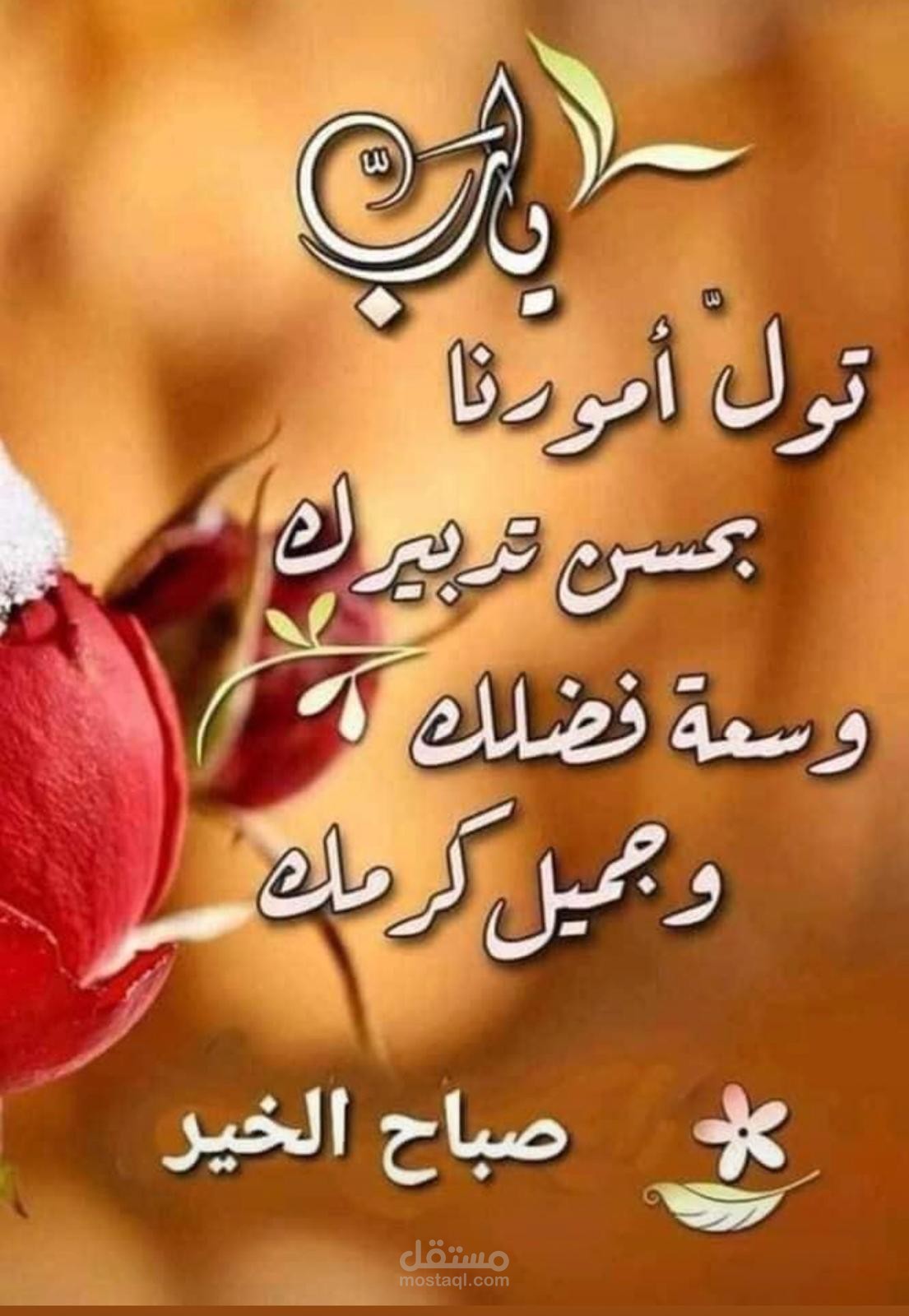 المملكه العربيه السعوديه