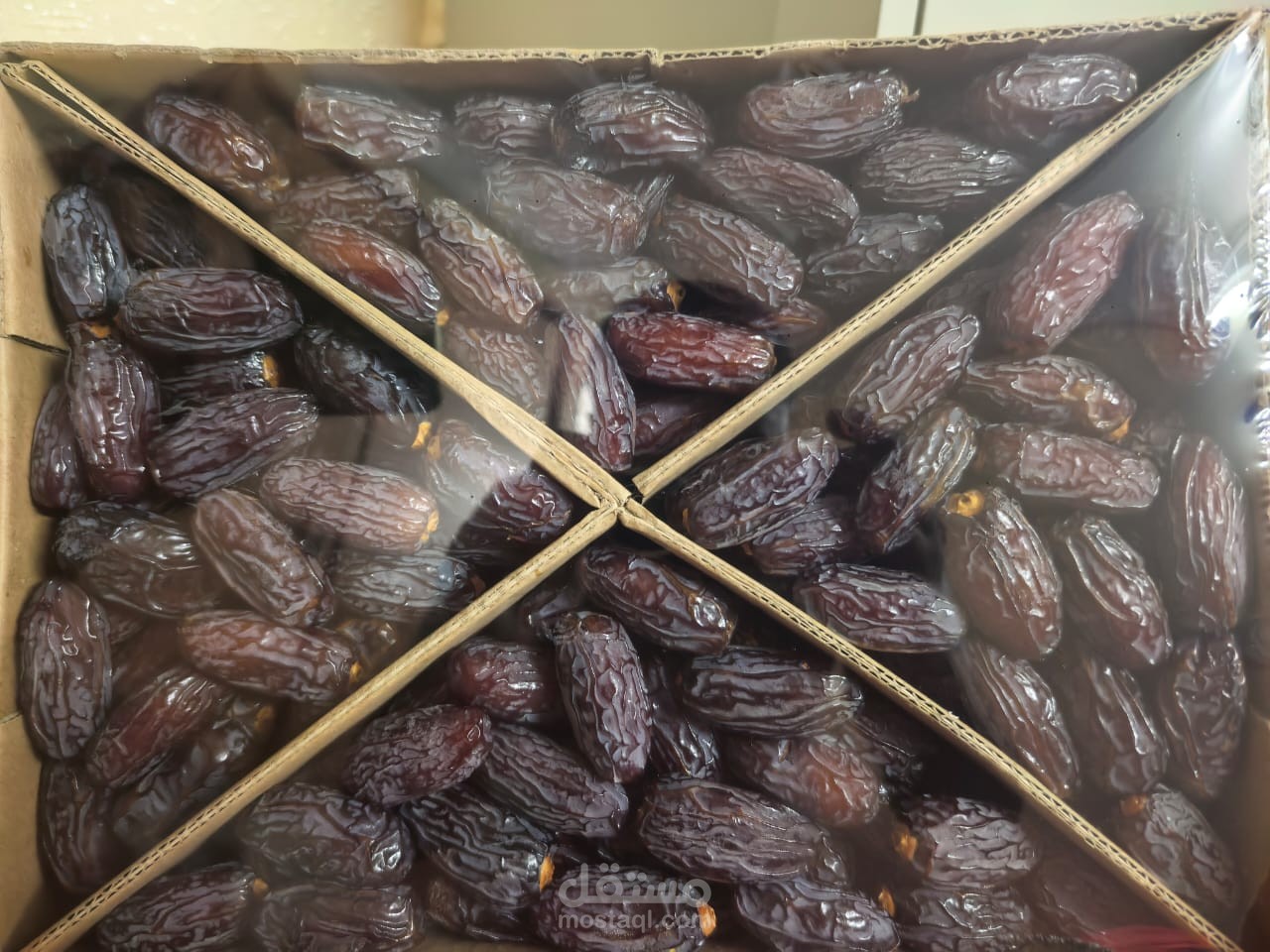 الإمارات العربية المتحدة