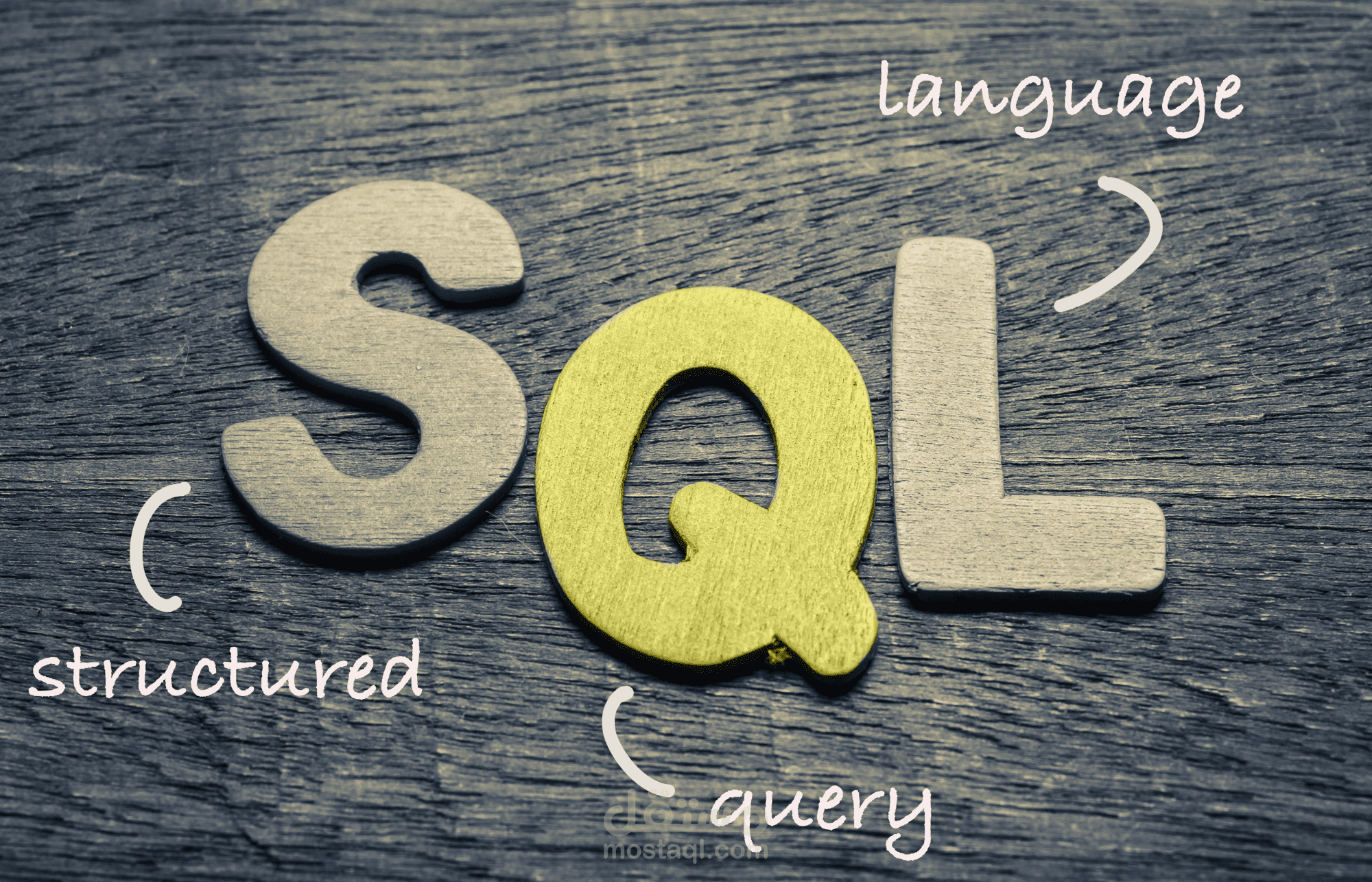 تحليل بيانات شركة موسيقية باستخدام SQL