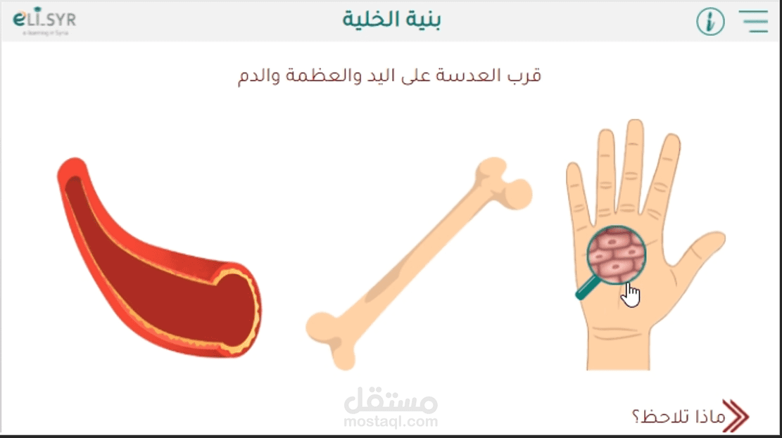 تصميم درس علوم تفاعلي احترافي باستخدام Articulate Storyline
