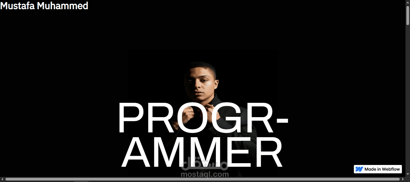 البورتفوليو الشخصي الخاص بي (على هيئة موقع ويب)