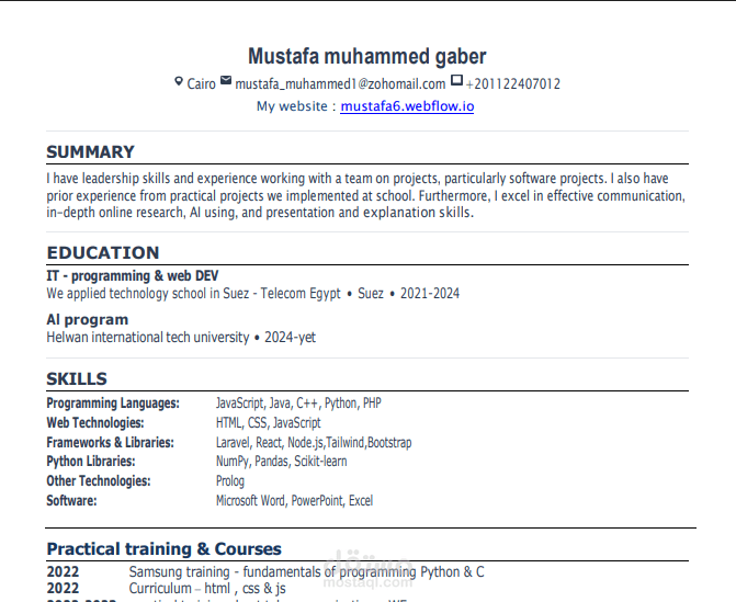 الCV الخاص بي