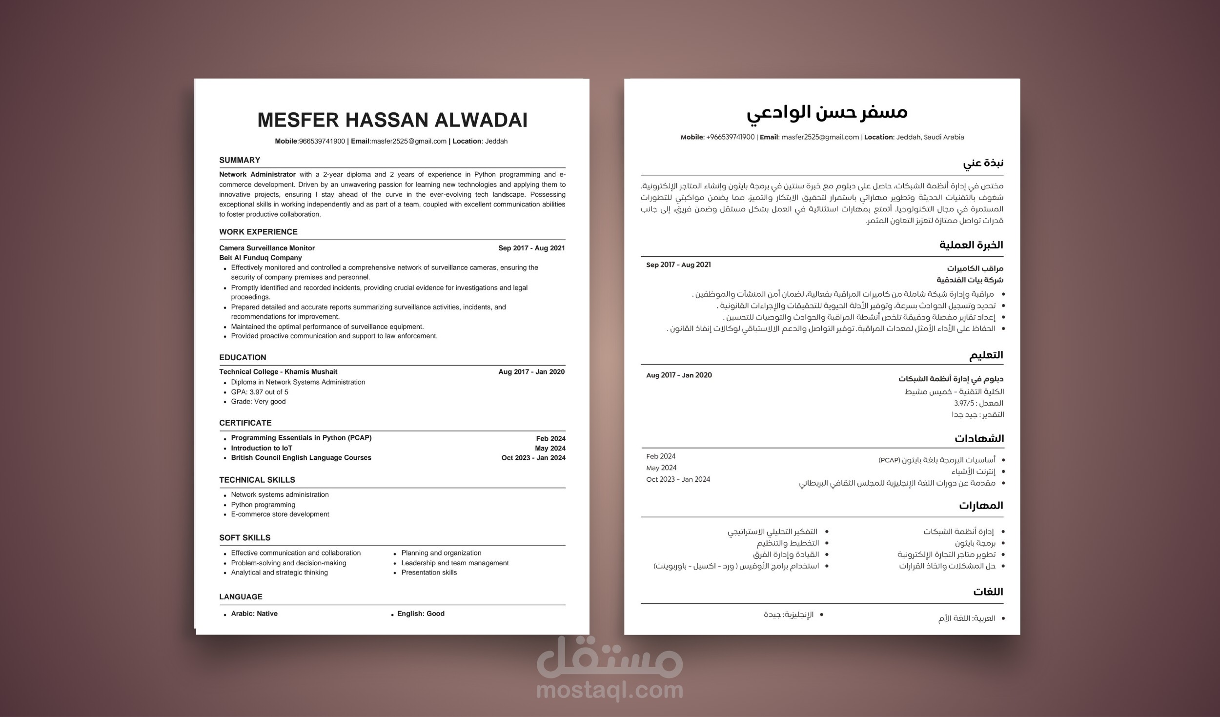 تصميم وكتابة سيرة ذاتية باللغة العربية والانجليزية