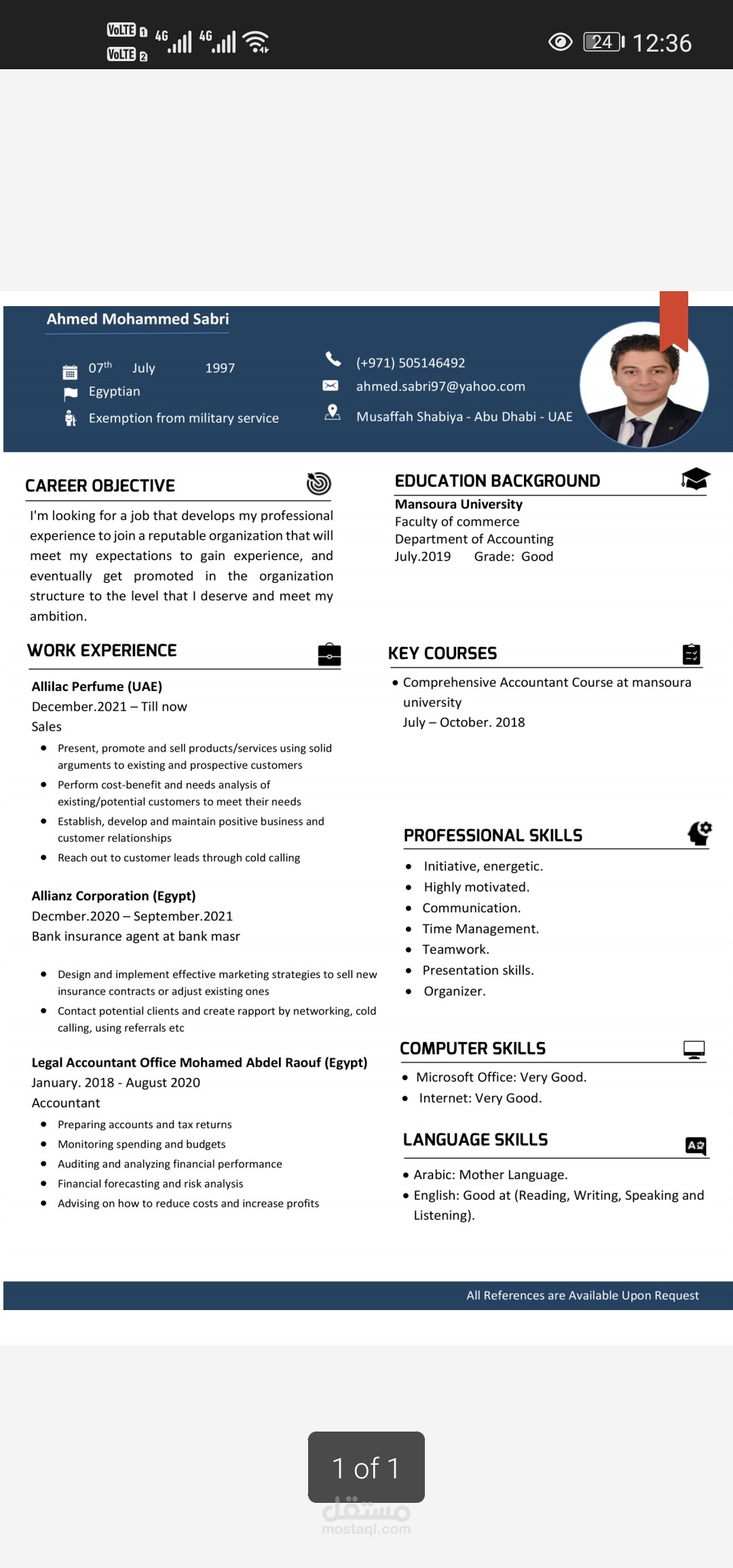 Professional CV