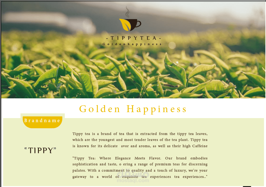 brand identity part1